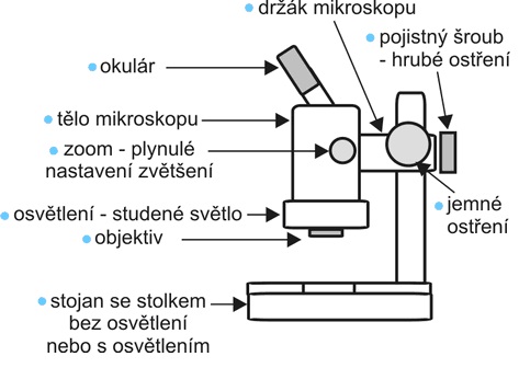 Základní prvky a díly mikroskopu