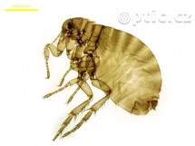 ukázkový snímek